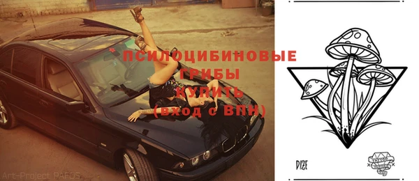 дживик Волоколамск