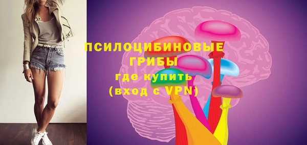 а пвп мука Верея