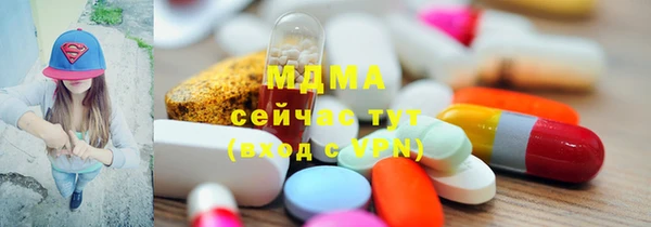 ГАЛЛЮЦИНОГЕННЫЕ ГРИБЫ Ельня