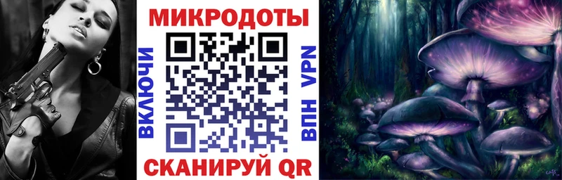 Псилоцибиновые грибы мицелий  Кировград 